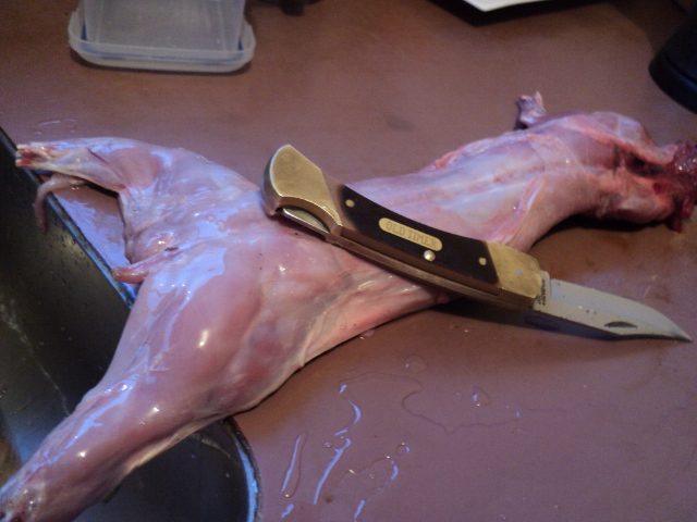 Name:  picture 01 3817.jpg
Views: 374
Size:  162.7 KB
