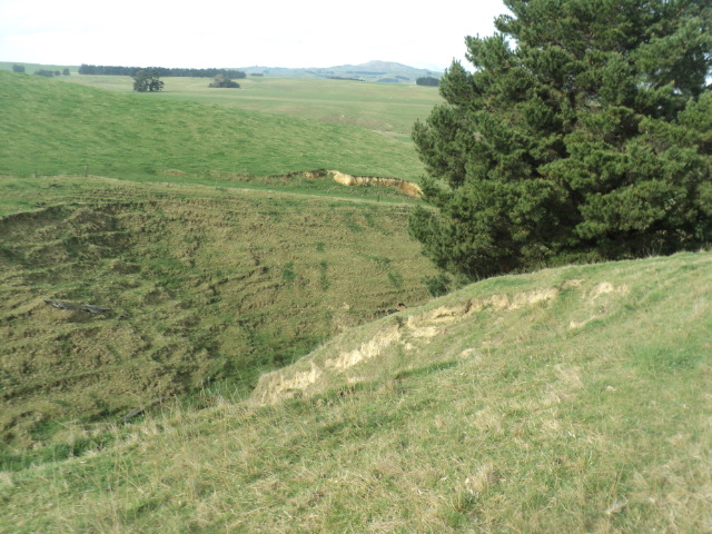 Name:  picture 01 3867.jpg
Views: 285
Size:  164.8 KB