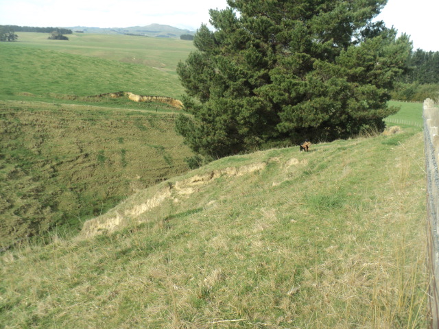 Name:  picture 01 3868.jpg
Views: 274
Size:  163.4 KB