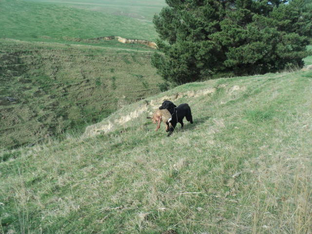 Name:  picture 01 3869.jpg
Views: 296
Size:  165.1 KB