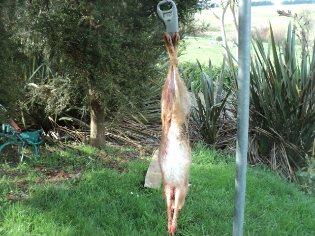 Name:  picture 01 3871.jpg
Views: 273
Size:  164.2 KB