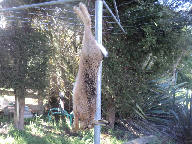 Name:  picture 01 3917.jpg
Views: 290
Size:  164.4 KB