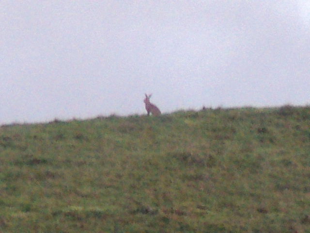 Name:  picture 01 3921.jpg
Views: 480
Size:  164.7 KB