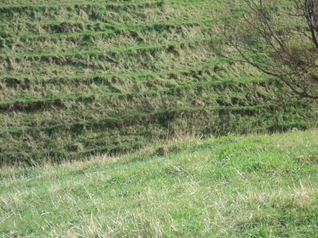 Name:  picture 01 3931.jpg
Views: 244
Size:  162.7 KB