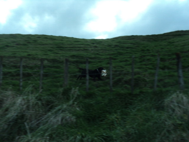 Name:  picture 01 3935.jpg
Views: 246
Size:  164.7 KB