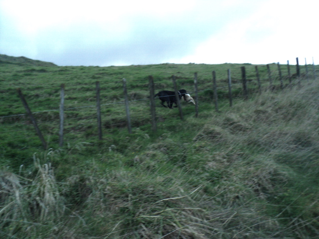 Name:  picture 01 3936.jpg
Views: 214
Size:  160.6 KB