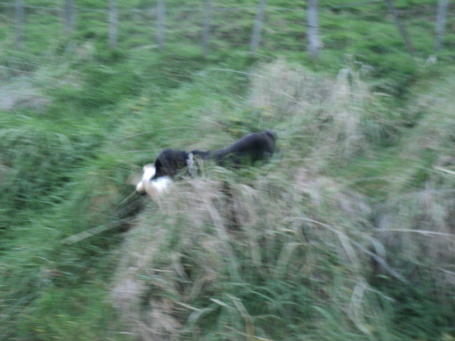 Name:  picture 01 3938.jpg
Views: 210
Size:  164.3 KB