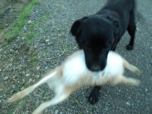 Name:  picture 01 3939.jpg
Views: 207
Size:  162.7 KB