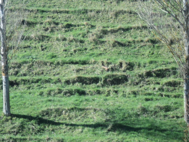 Name:  picture 01 3945.jpg
Views: 253
Size:  164.5 KB
