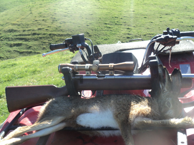 Name:  picture 01 3946.jpg
Views: 277
Size:  163.0 KB