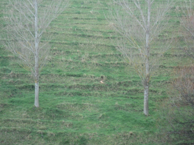 Name:  picture 01 3952.jpg
Views: 225
Size:  164.0 KB