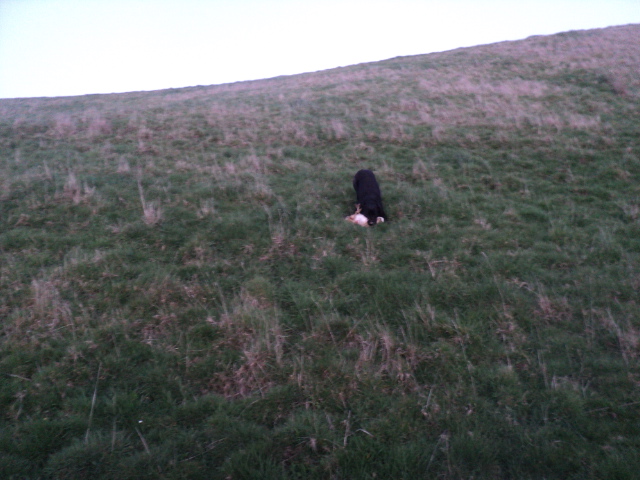 Name:  picture 01 3993.jpg
Views: 245
Size:  164.2 KB