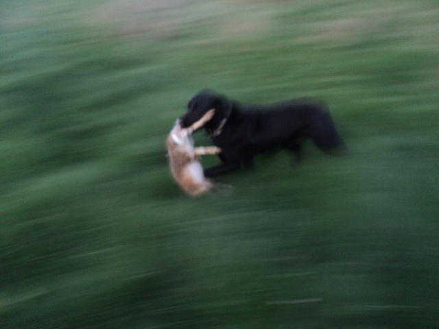 Name:  picture 01 3994.jpg
Views: 249
Size:  160.5 KB