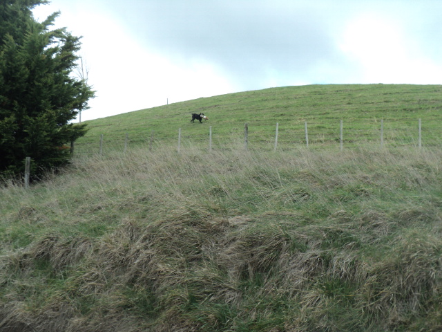 Name:  picture 01 4002.jpg
Views: 214
Size:  163.5 KB