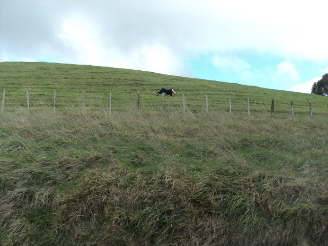 Name:  picture 01 4003.jpg
Views: 207
Size:  163.2 KB