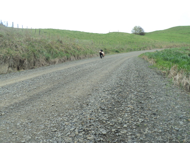 Name:  picture 01 4004.jpg
Views: 208
Size:  164.0 KB