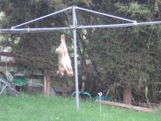 Name:  picture 01 4076.jpg
Views: 288
Size:  163.4 KB