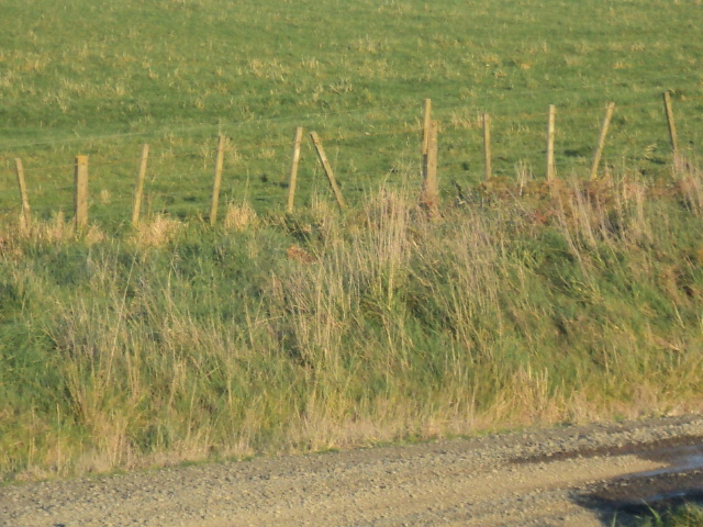 Name:  picture 01 4090.jpg
Views: 175
Size:  164.8 KB