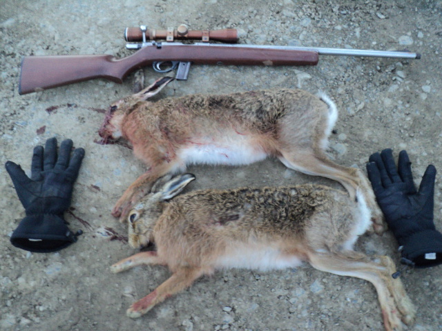 Name:  picture 01 4092.jpg
Views: 271
Size:  163.1 KB