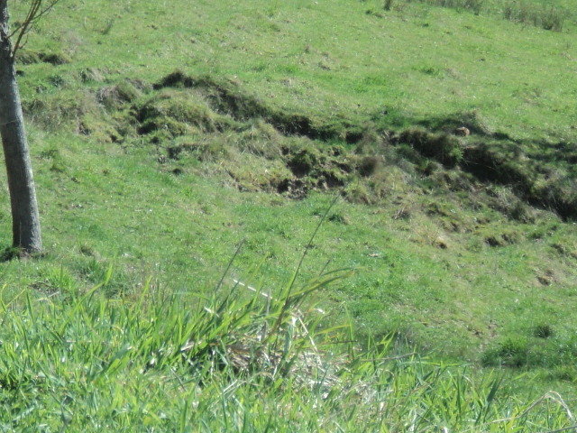 Name:  picture 01 4100.jpg
Views: 448
Size:  164.9 KB