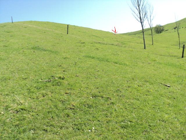 Name:  picture 01 4105.jpg
Views: 331
Size:  86.0 KB