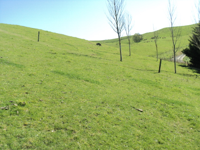 Name:  picture 01 4106.jpg
Views: 327
Size:  165.1 KB
