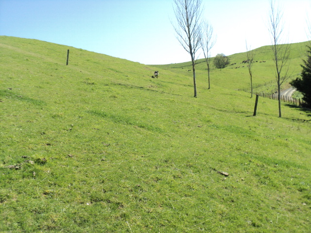 Name:  picture 01 4107.jpg
Views: 368
Size:  165.0 KB