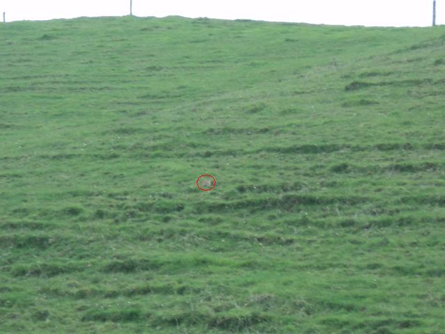 Name:  picture 01 4117.jpg
Views: 247
Size:  60.0 KB