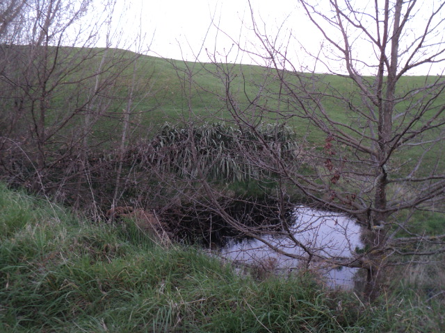Name:  picture 01 4161.jpg
Views: 228
Size:  163.9 KB