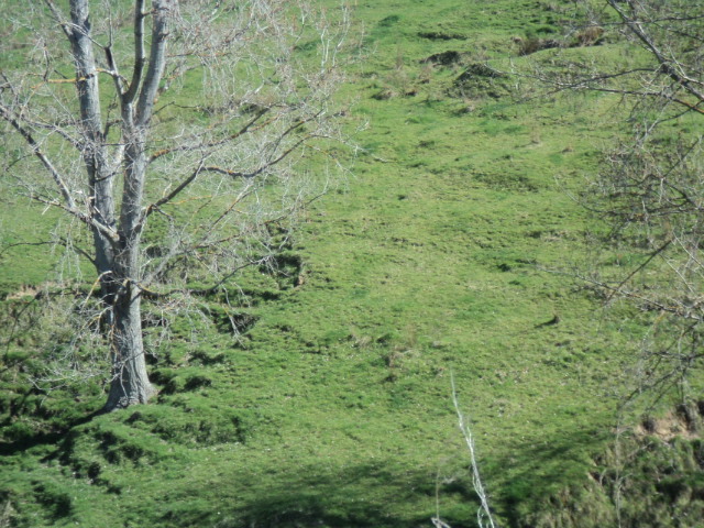 Name:  picture 01 4172.jpg
Views: 361
Size:  164.9 KB