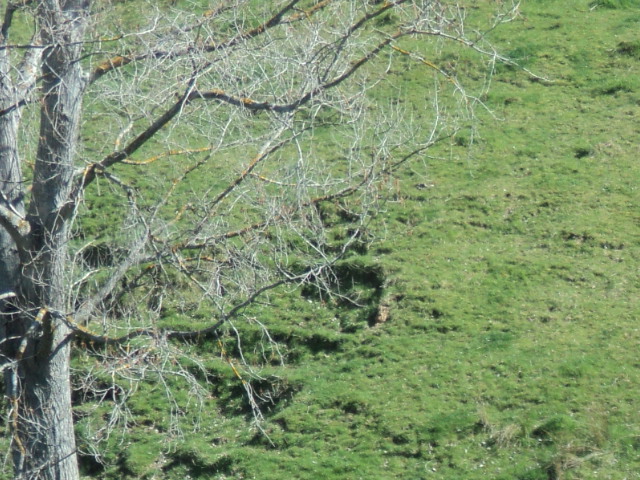 Name:  picture 01 4173.jpg
Views: 372
Size:  164.1 KB