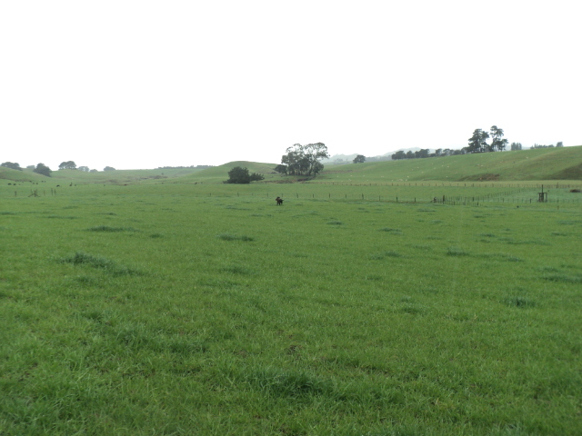 Name:  picture 01 4223.jpg
Views: 243
Size:  164.6 KB