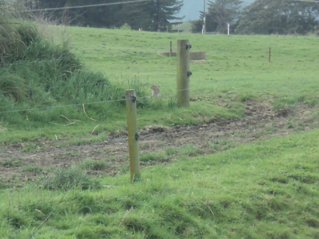 Name:  picture 01 4246.jpg
Views: 258
Size:  164.4 KB