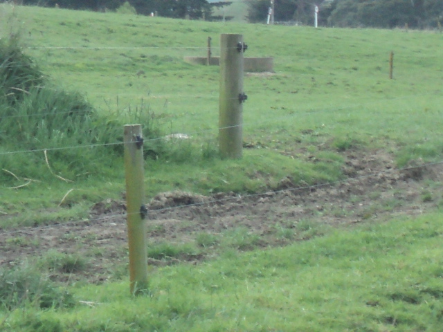 Name:  picture 01 4247.jpg
Views: 276
Size:  163.2 KB
