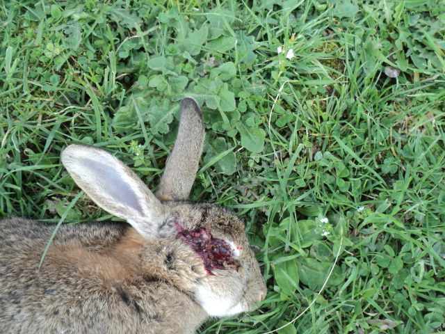 Name:  picture 01 4249.jpg
Views: 261
Size:  164.3 KB