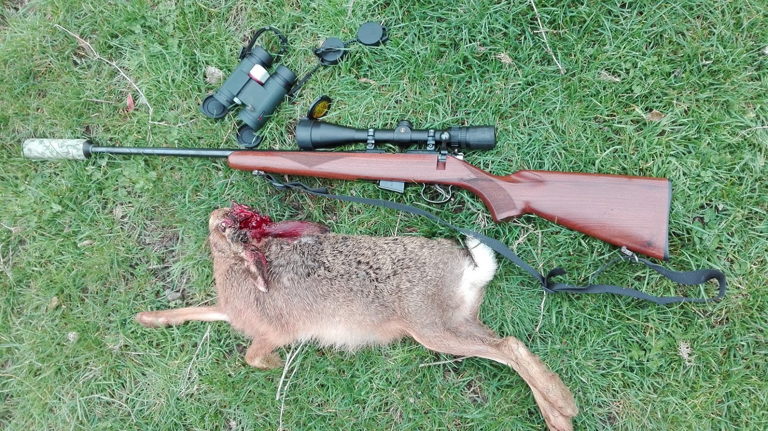 Name:  .17HMR laser.jpg
Views: 940
Size:  608.9 KB