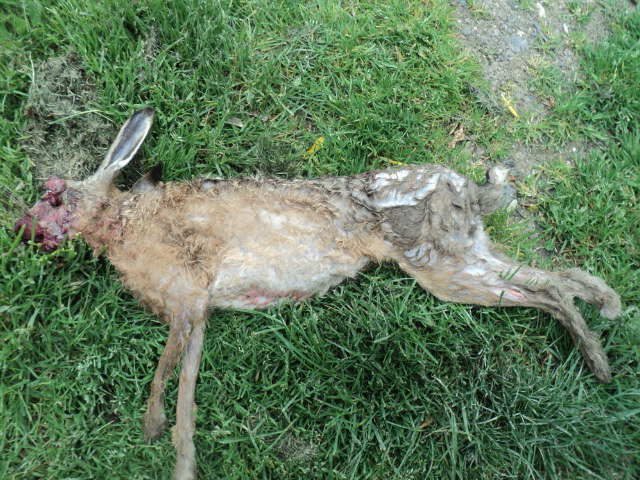 Name:  picture 01 4298.jpg
Views: 337
Size:  163.8 KB