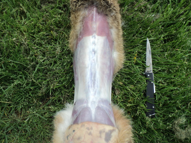 Name:  picture 01 4296.jpg
Views: 338
Size:  164.9 KB