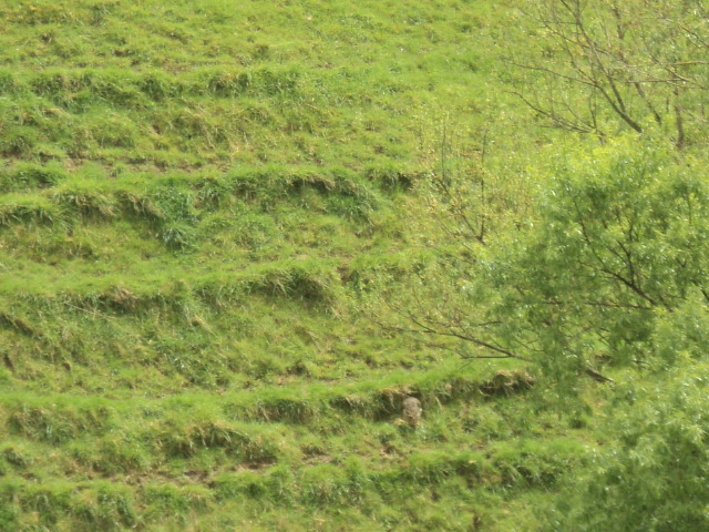 Name:  picture 01 4341.jpg
Views: 251
Size:  163.3 KB