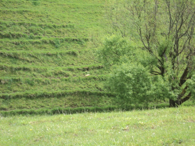 Name:  picture 01 4344.jpg
Views: 265
Size:  164.0 KB