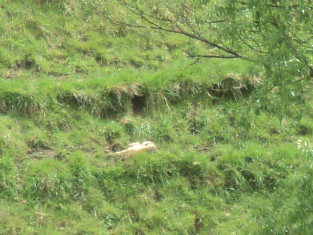 Name:  picture 01 4345.jpg
Views: 263
Size:  162.6 KB