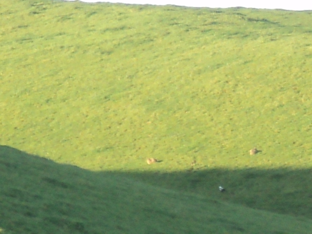 Name:  picture 01 4356.jpg
Views: 237
Size:  165.3 KB