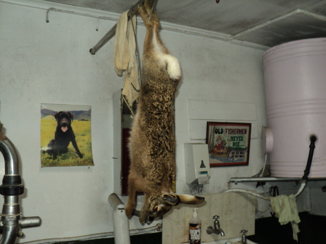 Name:  picture 2074.jpg
Views: 423
Size:  164.8 KB