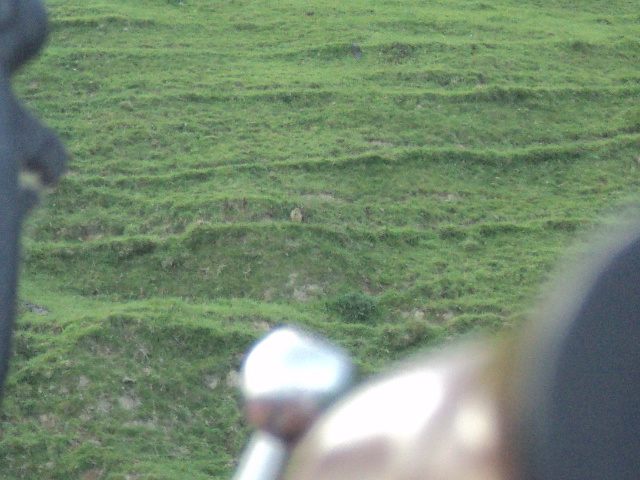 Name:  picture 01 4367.jpg
Views: 393
Size:  164.0 KB