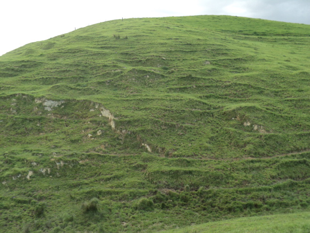 Name:  picture 01 4369.jpg
Views: 395
Size:  165.2 KB