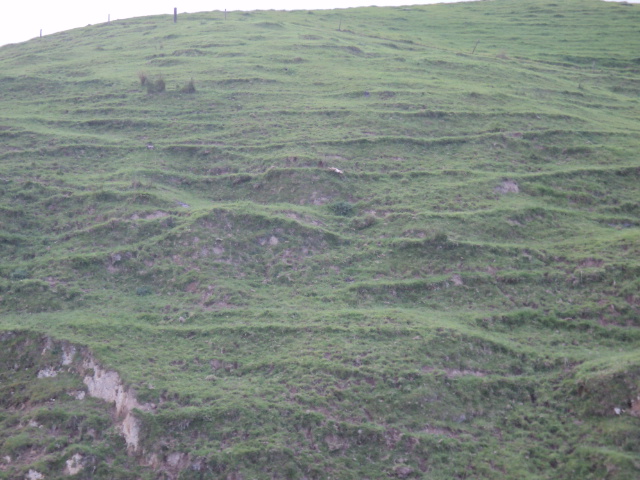 Name:  picture 01 4370.jpg
Views: 406
Size:  164.2 KB