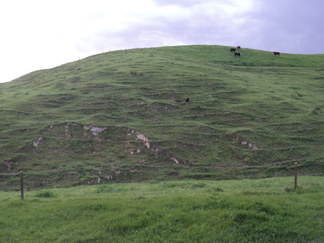 Name:  picture 01 4368.jpg
Views: 379
Size:  165.2 KB
