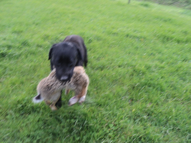 Name:  picture 01 4372.jpg
Views: 388
Size:  164.5 KB