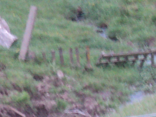 Name:  picture 01 4375.jpg
Views: 391
Size:  164.1 KB