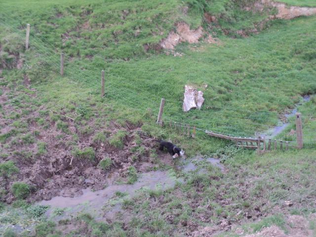 Name:  picture 01 4376.jpg
Views: 377
Size:  164.8 KB